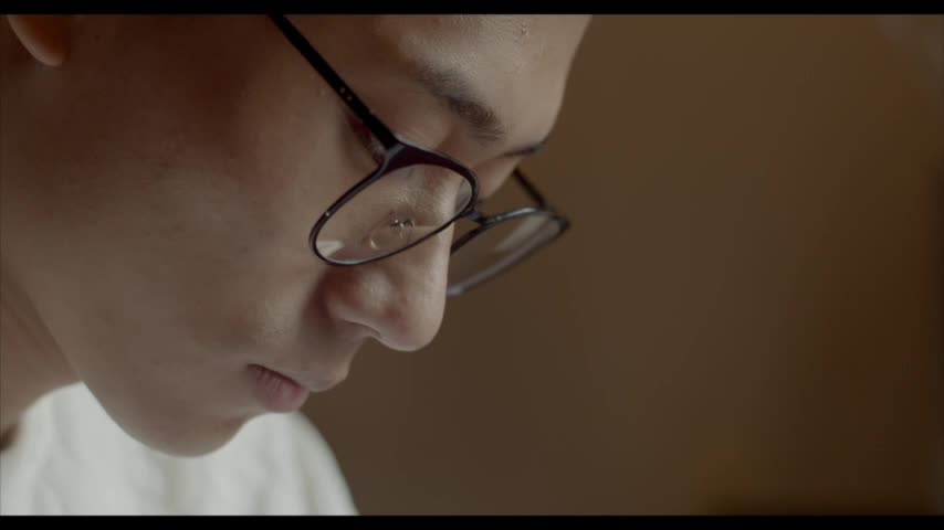 致，梦想的避风港