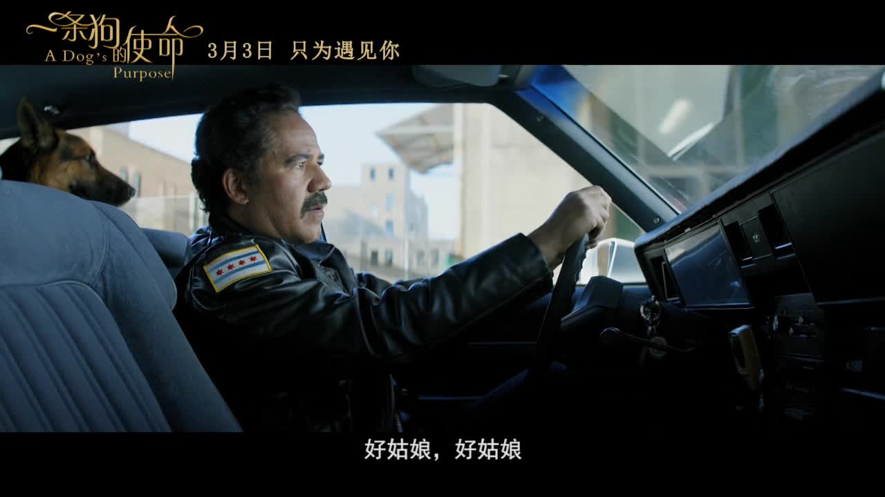 《一条狗的使命》角色版预告