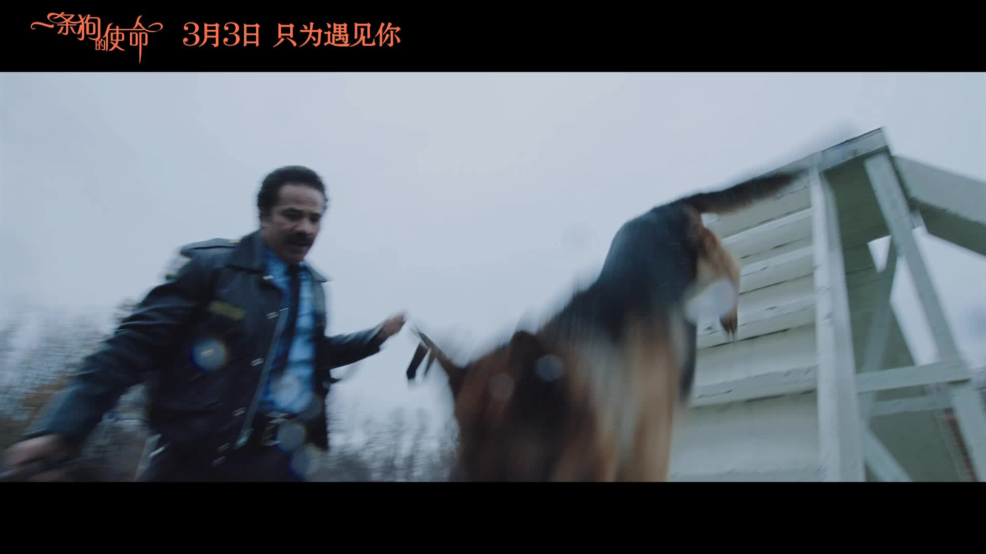 《一条狗的使命》-配音特辑
