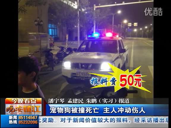 宠物狗被撞死亡  主人冲动伤人