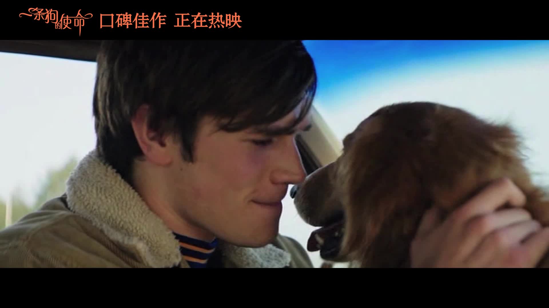 《一条狗的使命》口碑视频