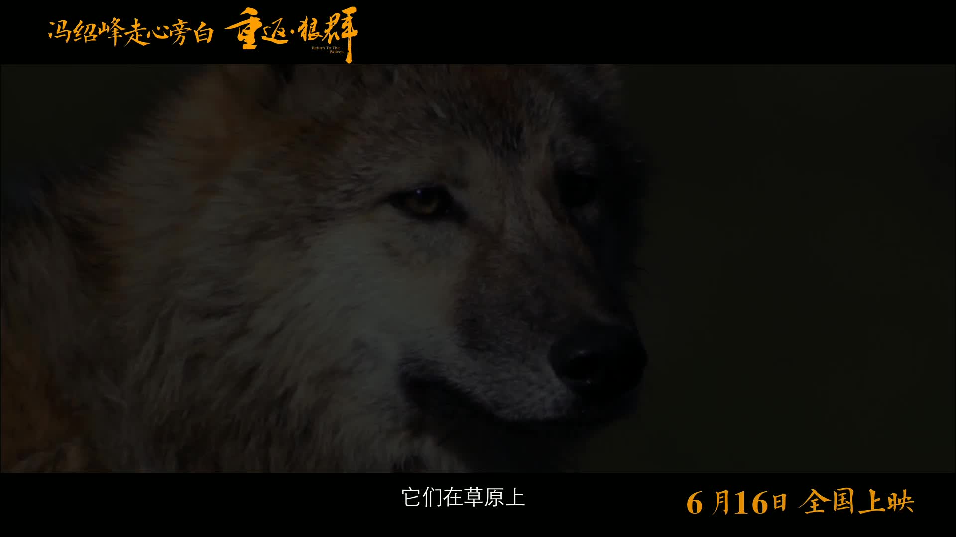 《重返·狼群》发布冯绍峰“讲故事”预告