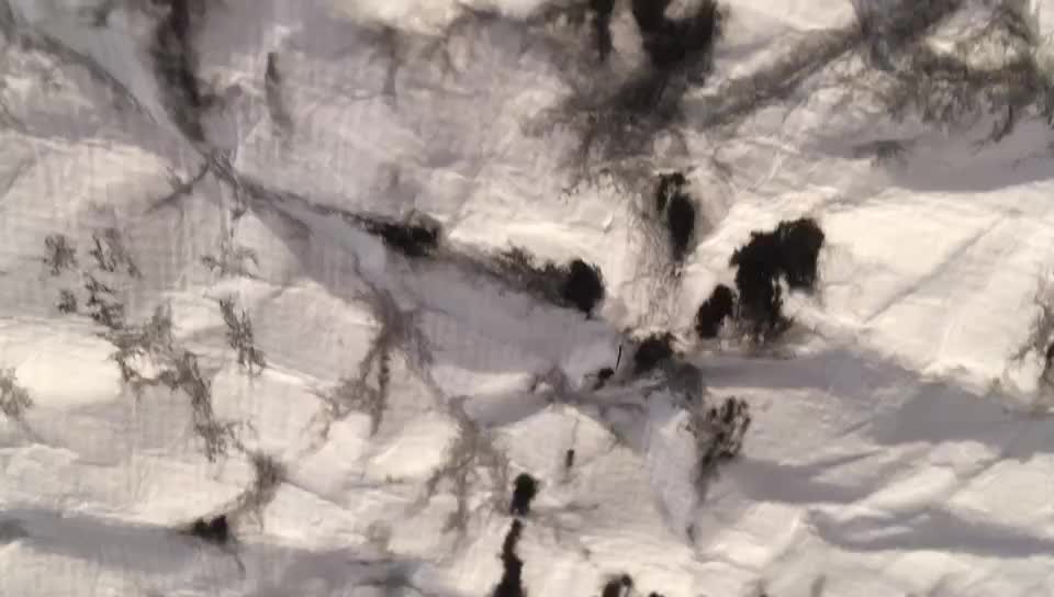  保罗安德鲁 绘画作品展