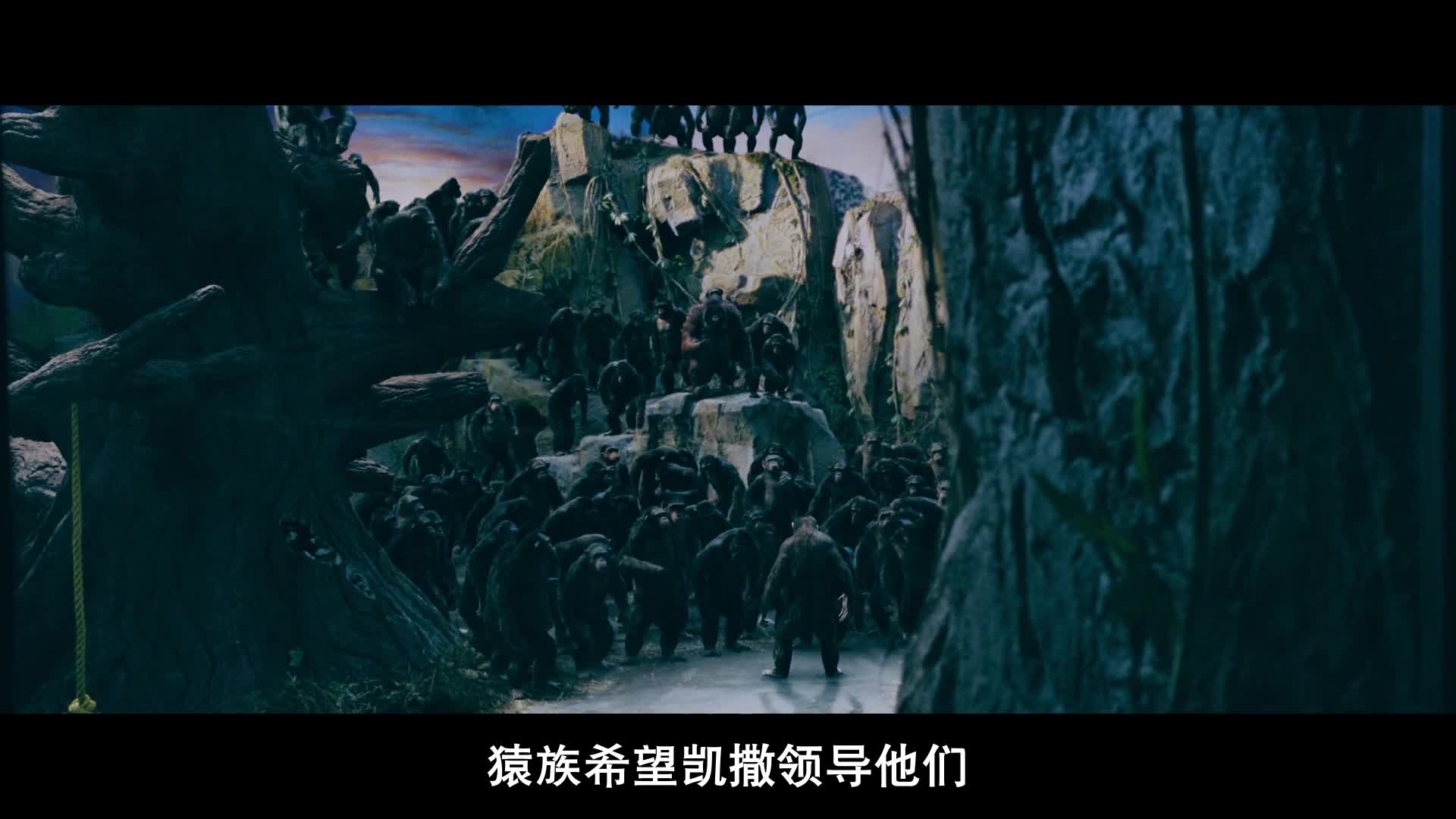 《猩球崛起3》混剪视频追忆凯撒成长史
