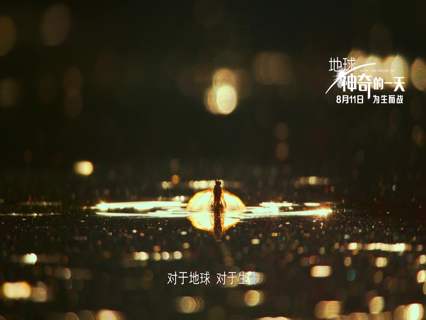 《地球：神奇的一天》曝中国特辑