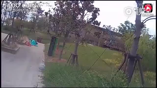 女司机学驾车差点要教练的命 大喊害怕