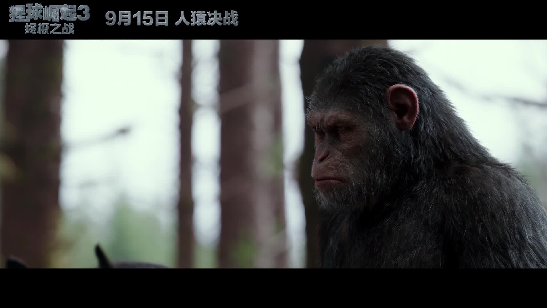 凯撒“兄弟连”成员片段