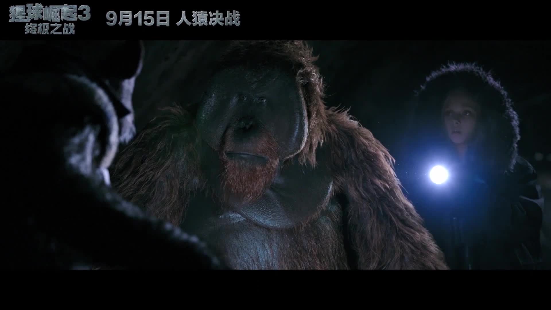 小坏猿与毛里斯片段