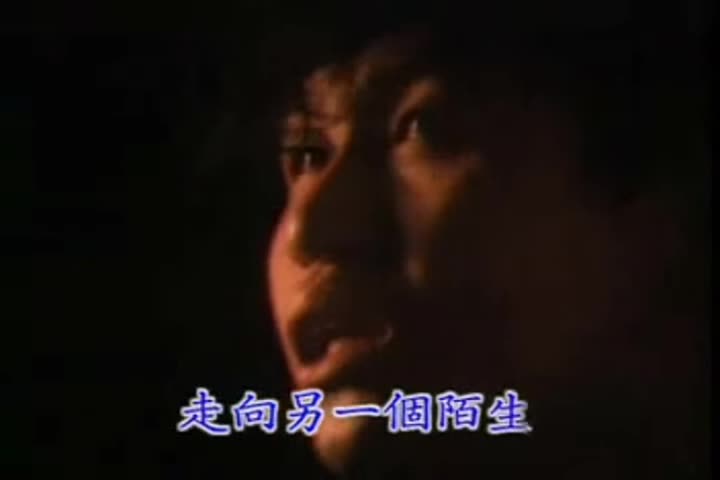 郑智化 《堕落天使》