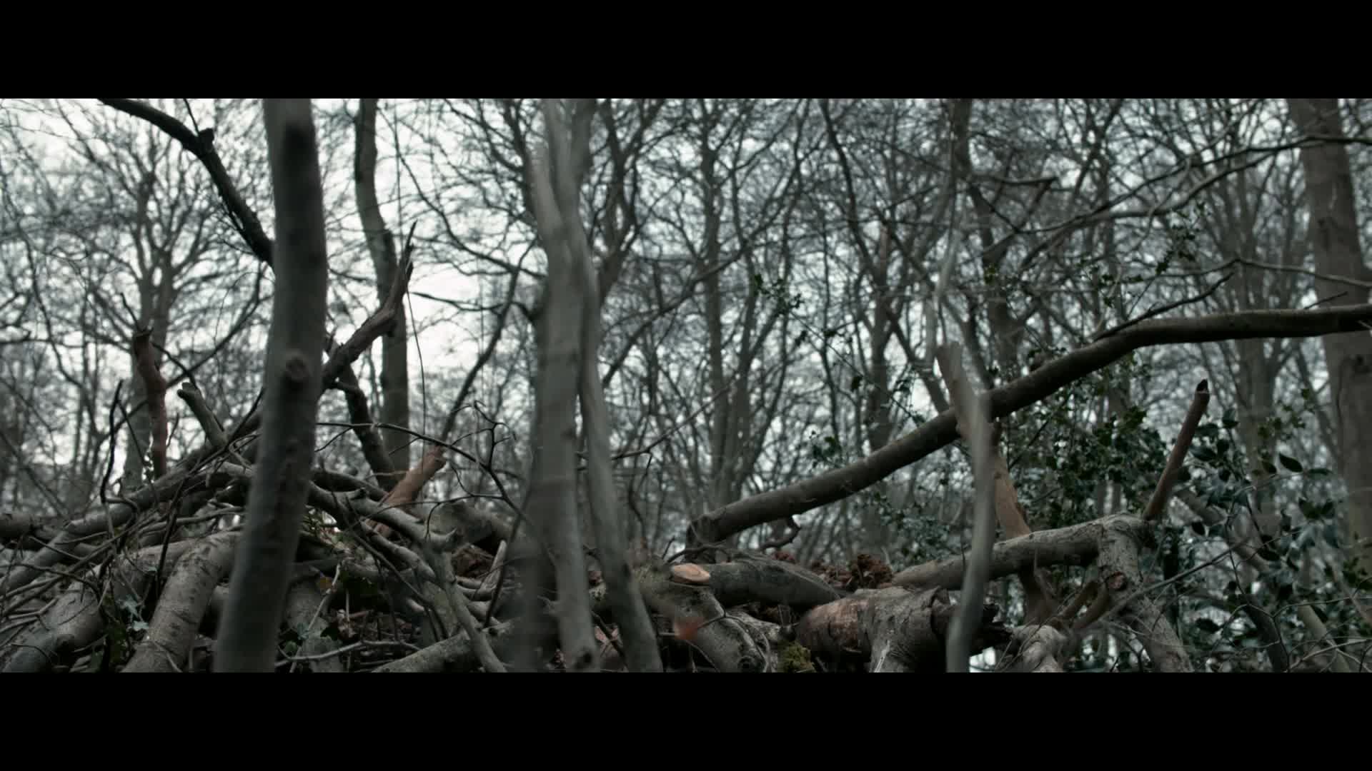 《英伦对决》发布成龙丛林战动作片段