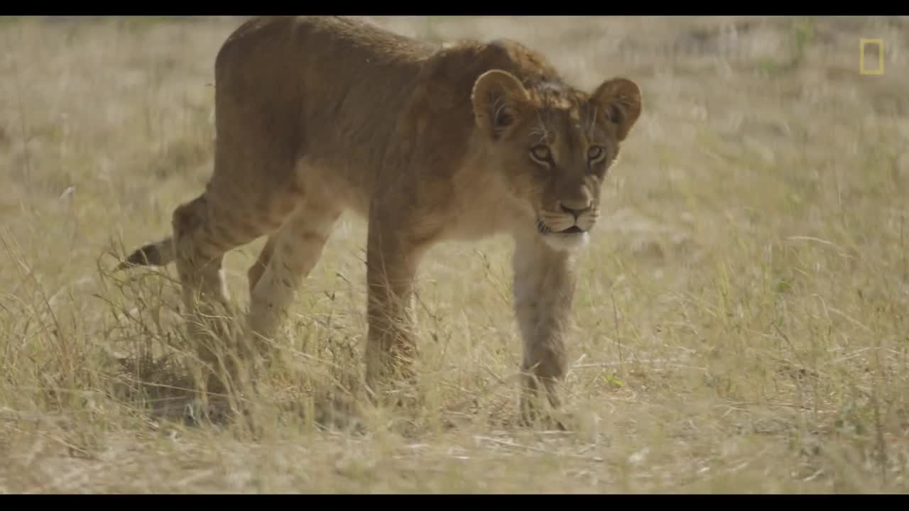 Trekking Through One of Africa's Most Majestic Places - National Geographic