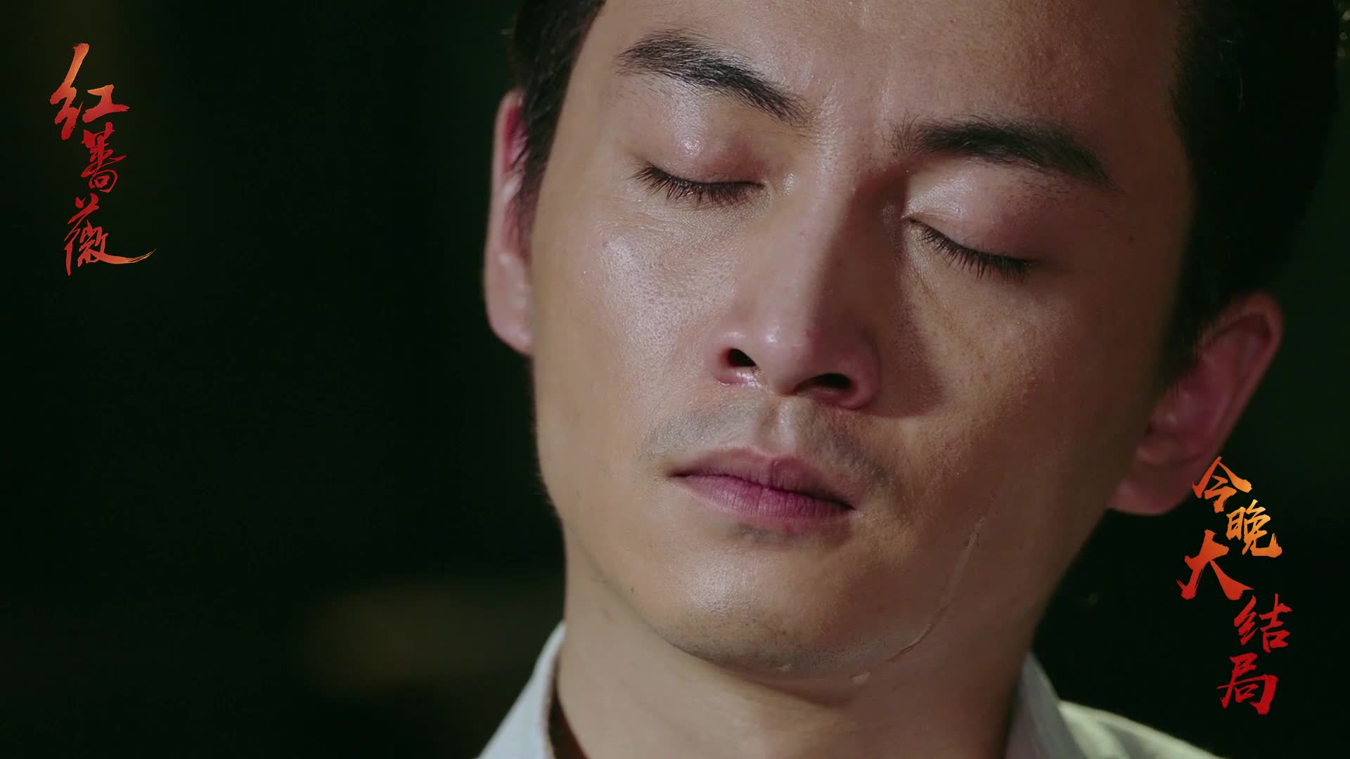 《红蔷薇》杨子姗被捕陈晓忧心落泪