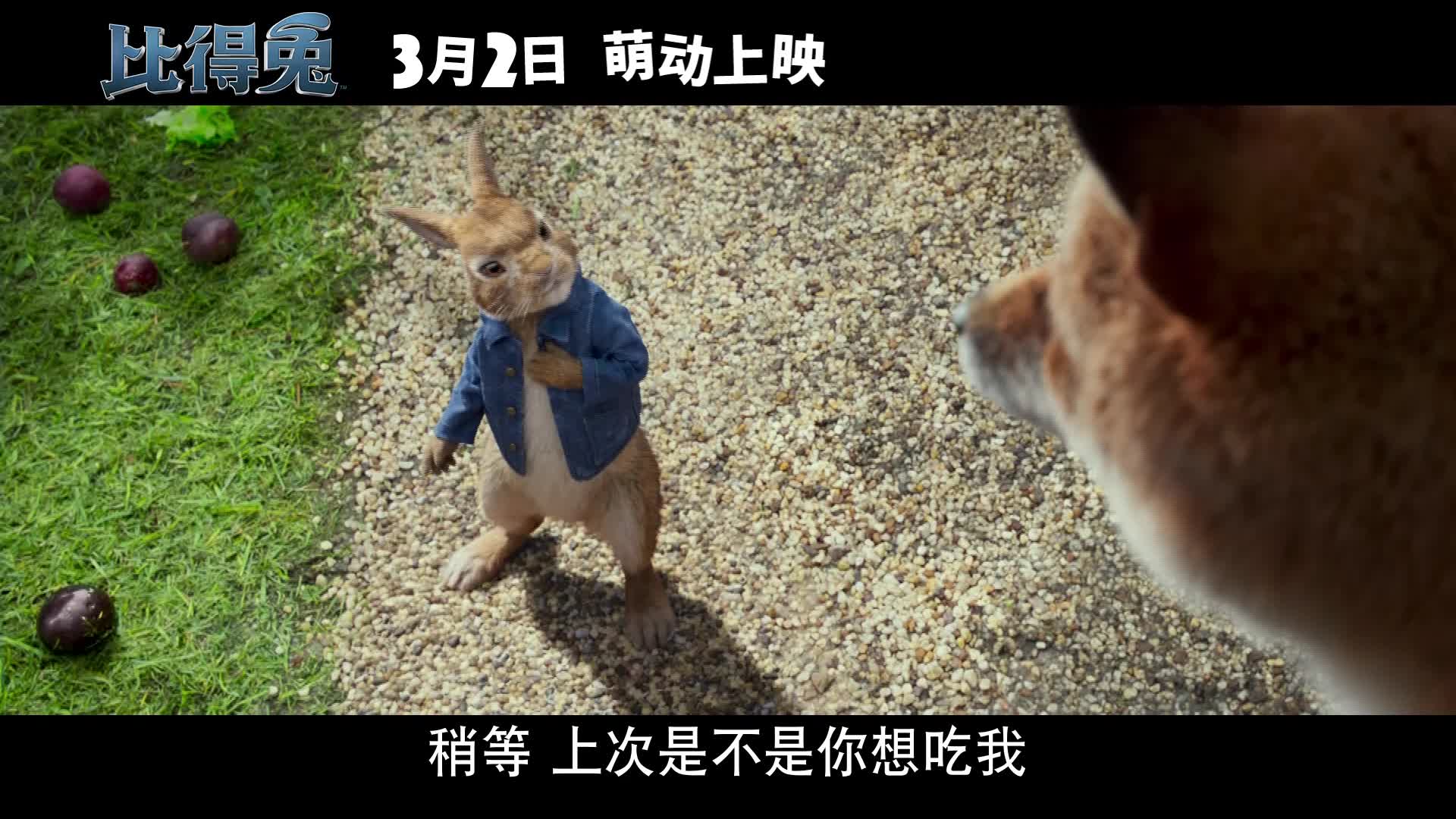 电影《比得兔》发布定档预告