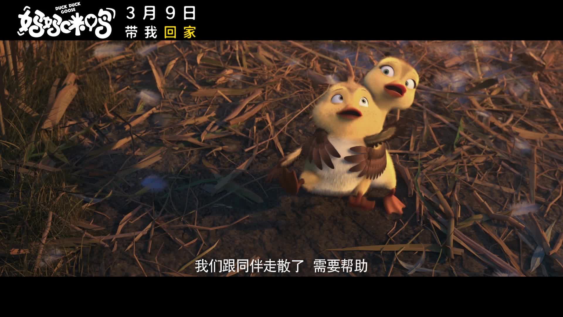 《妈妈咪鸭》曝“防走失”篇预告