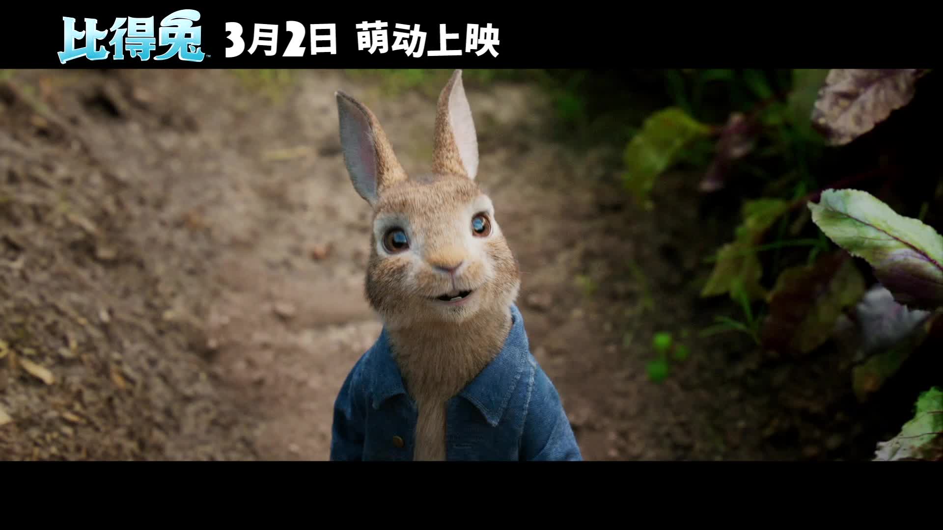 《比得兔》发布“相爱相杀”版预告
