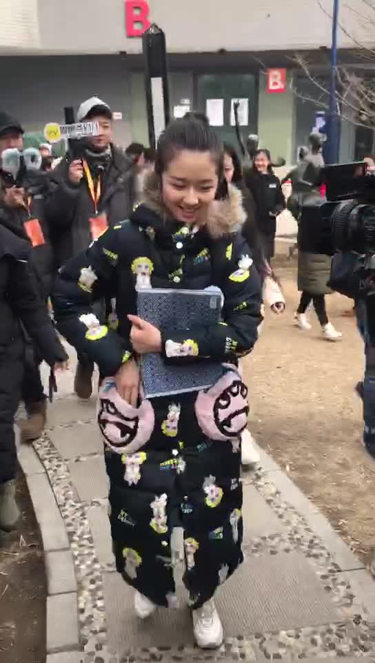 李兰迪北电初试