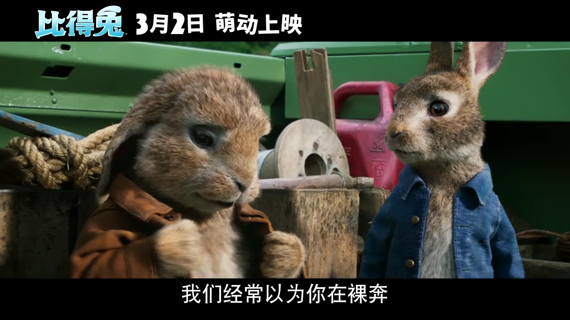 《比得兔》发布元宵节预告