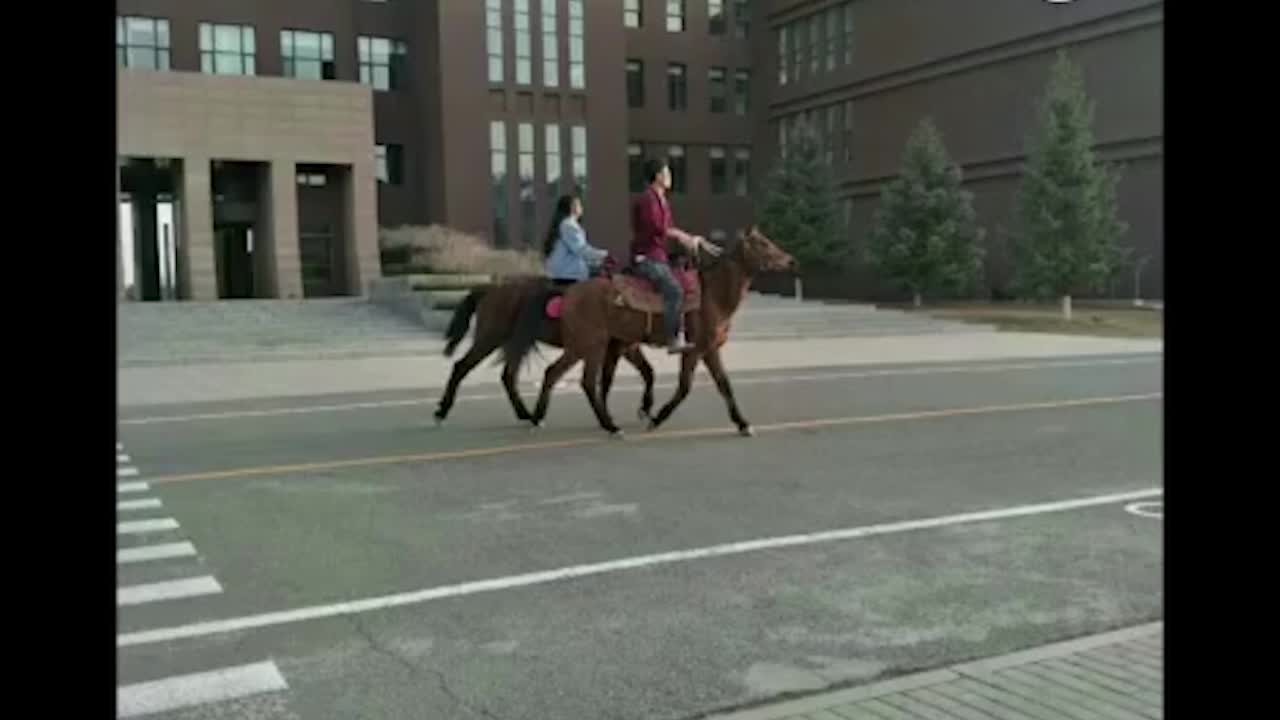 情侣在内蒙古大学校园骑马，网友调侃“骑马上学”被坐实