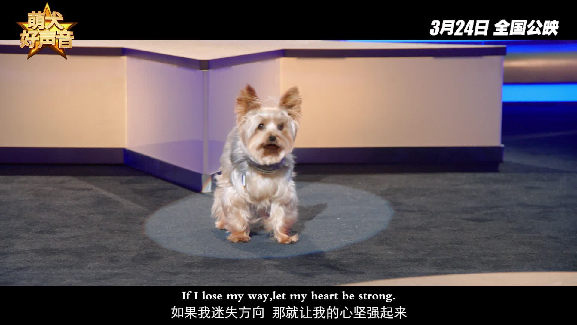 《萌犬好声音》推广曲MV温暖来袭