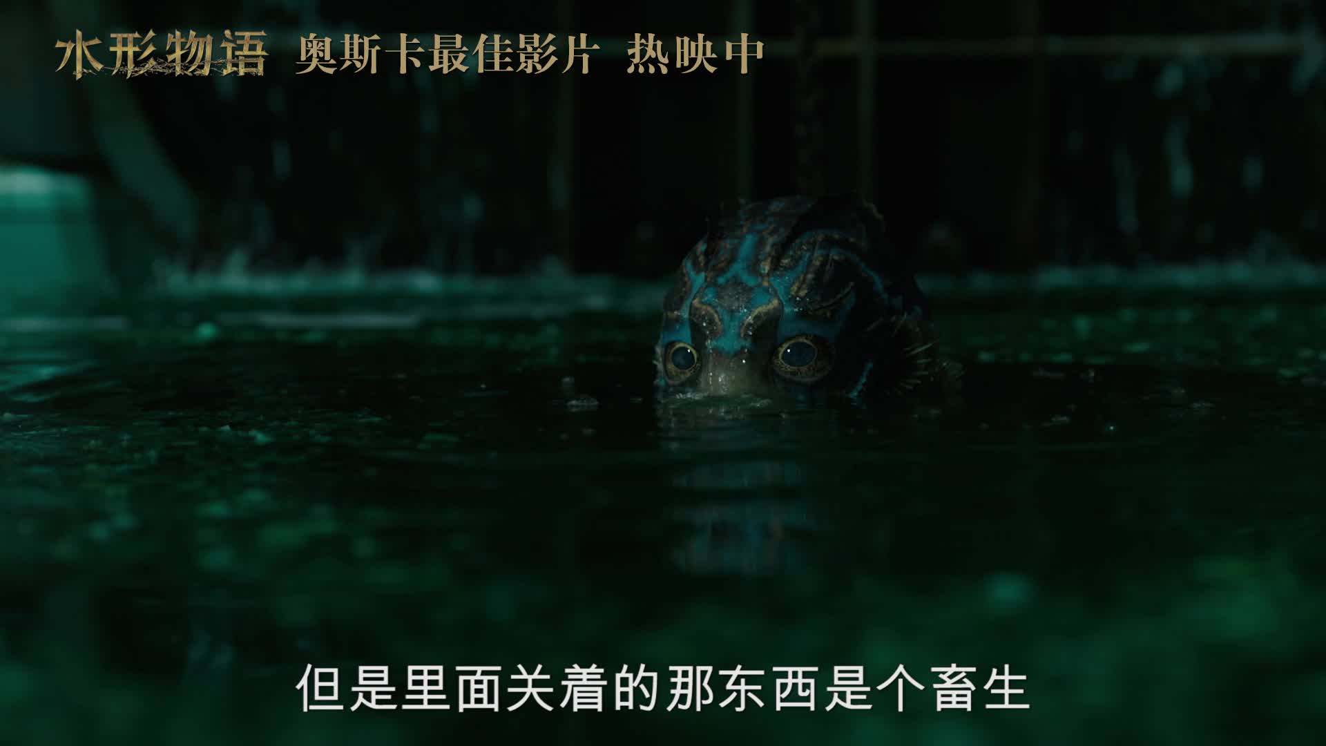 众星花式打call奥斯卡最佳影片《水形物语》
